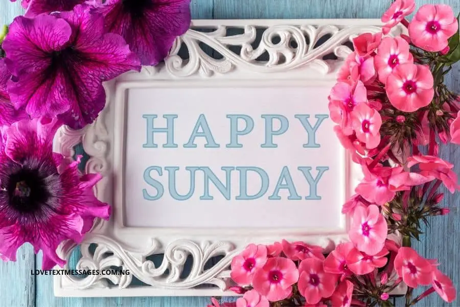 Happy Sunday Status and Motivational Messages - Love Text Messages

