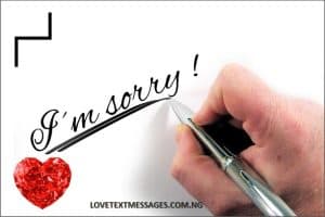 Sweet I Am Sorry Message for Lovers