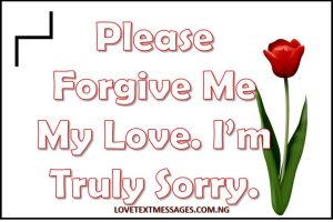Sweet I Am Sorry SMS for My Man