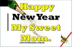 Happy New Year 2018 to Mum