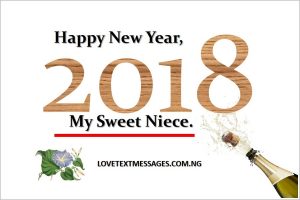 Happy New Year 2018 to Niece