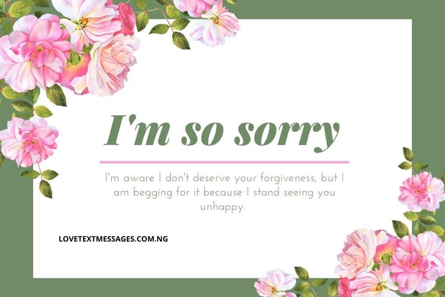 I Am Sorry Messages for Her