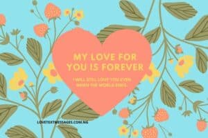 My Love for You is forever Quotes