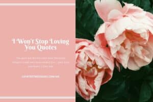 I Won’t Stop Loving You Quotes