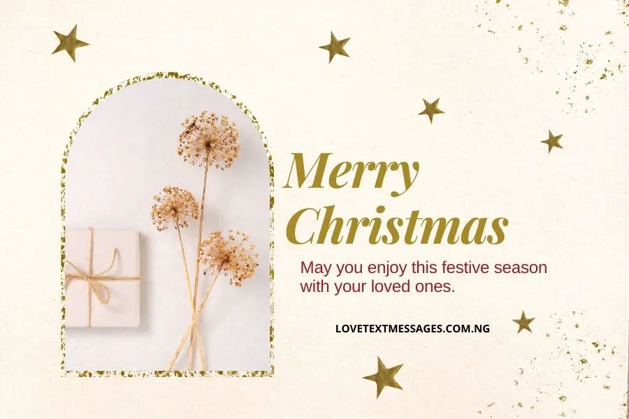 Christmas Greetings, Messages and Wishes for Co-worker / Colleague
